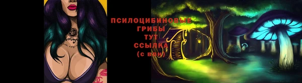 сатива Белоозёрский