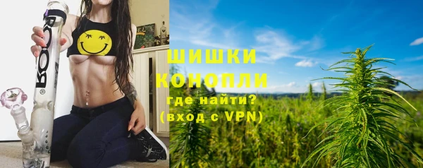 гидра Снежногорск