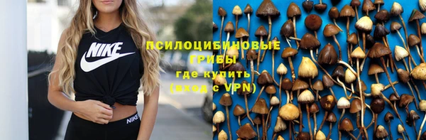 сатива Белоозёрский